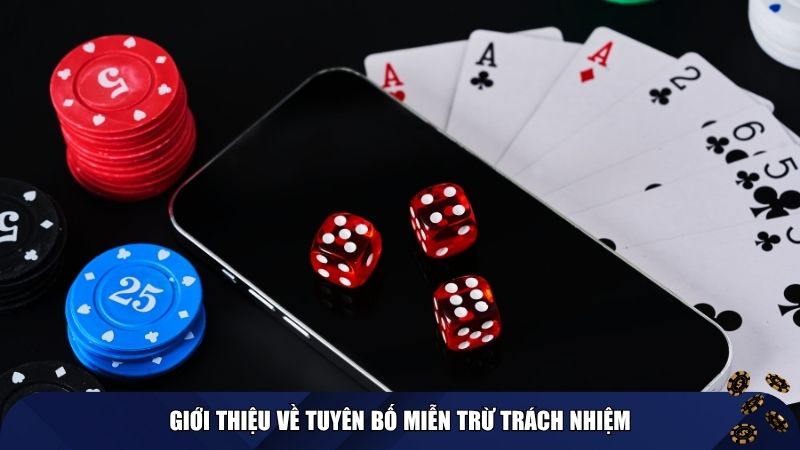 Giới thiệu về tuyên bố miễn trừ trách nhiệm
