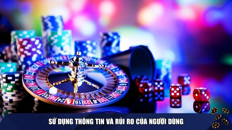 Sử dụng thông tin và rủi ro của người dùng